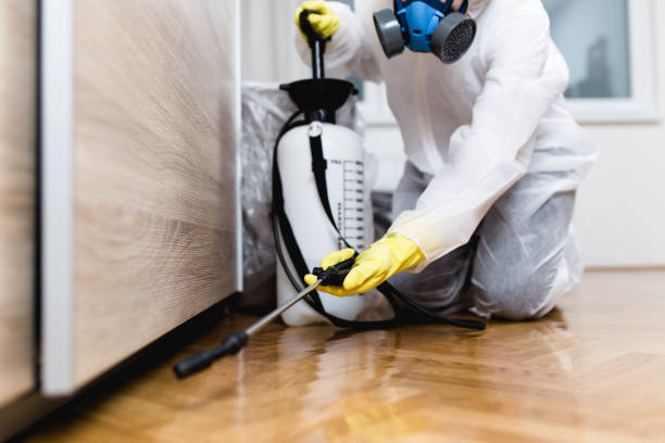 Best Pest Control Near Me  in Rosaryville, MD