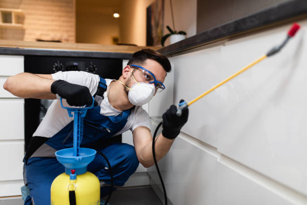 Best Termite Control Services  in Rosaryville, MD
