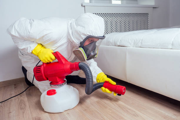 Best Wasp Removal Services  in Rosaryville, MD