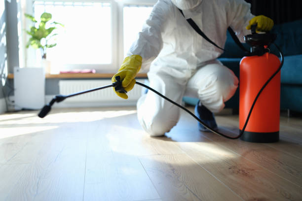 Professional Pest Control in Rosaryville, MD