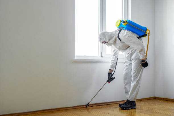 Best Pest Control for Homes  in Rosaryville, MD