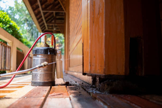 Best Pest Prevention Services  in Rosaryville, MD