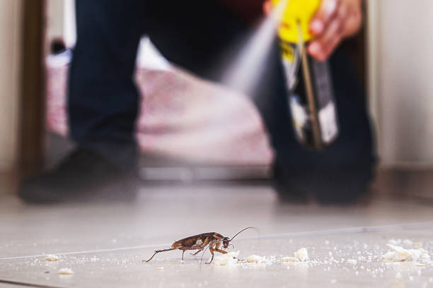 Best Flea Control Services  in Rosaryville, MD