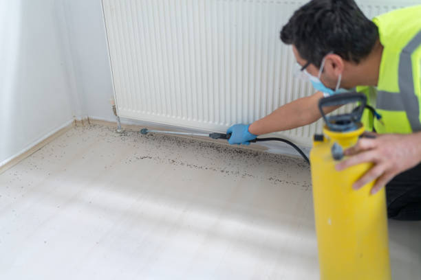 Best Emergency Pest Control  in Rosaryville, MD